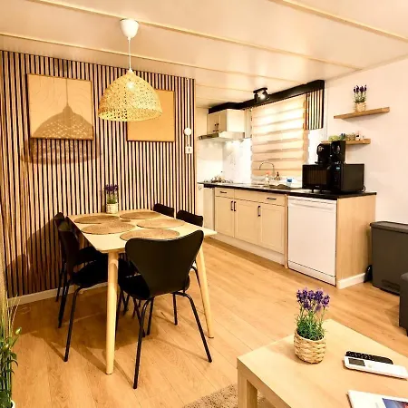 Cozy Wellness Cabin With Home Cinema And Private Jacuzzi ,Sauna And Garden Between Amsterdam Haarlem And Schiphol Airport Vijfhuizen
