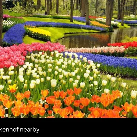 別荘 Wellness With Jacuzzi &sauna&private Garden Near Amsterdam Vijfhuizen